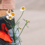 Close-up of wildflowers in a denim pocket, showcasing casual fashion and nature.