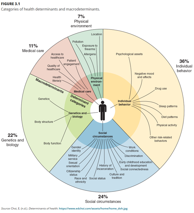 Categories of health determinants and macrodeterminats