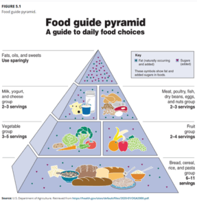 Food Guide Pyramid