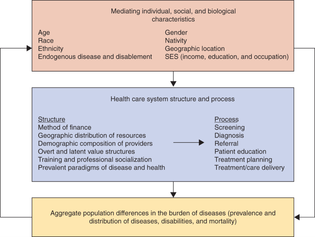 Assignment Idea: Exploring the Social Production of Health Disparities ...