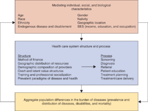 A heuristic model of health disparity generation.